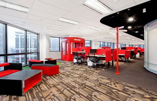 石膏板吊頂隔墻上海廠房裝修上海異形吊頂隔墻,上海工廠裝修