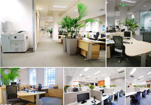 南匯辦公室裝修 祝橋辦公室木地板裝修 祝橋寫字樓裝修價格 廠家 圖片